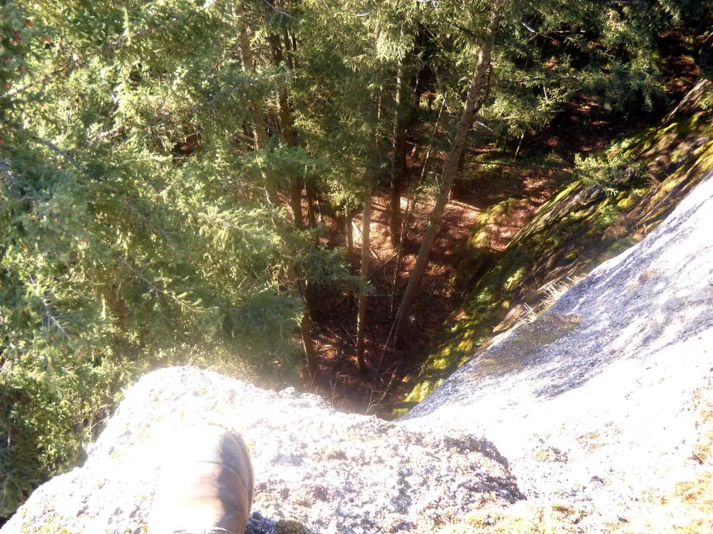 DSCN0389.jpg