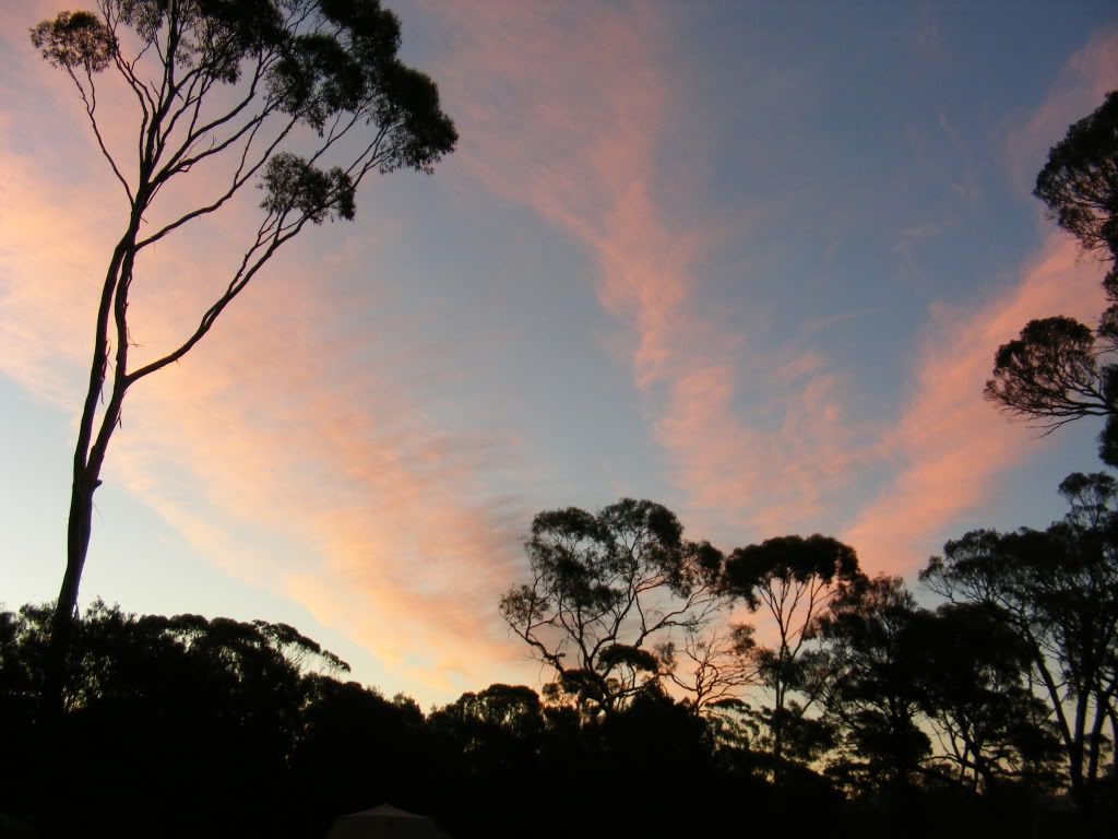 DSCF2040.jpg