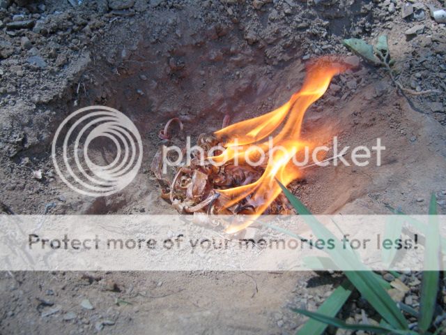campcookingcontest017.jpg