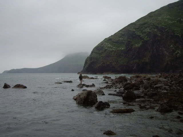 IMGP0476.jpg