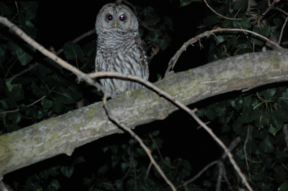 DSC_7391.JPG