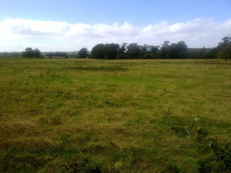 12092011162.jpg
