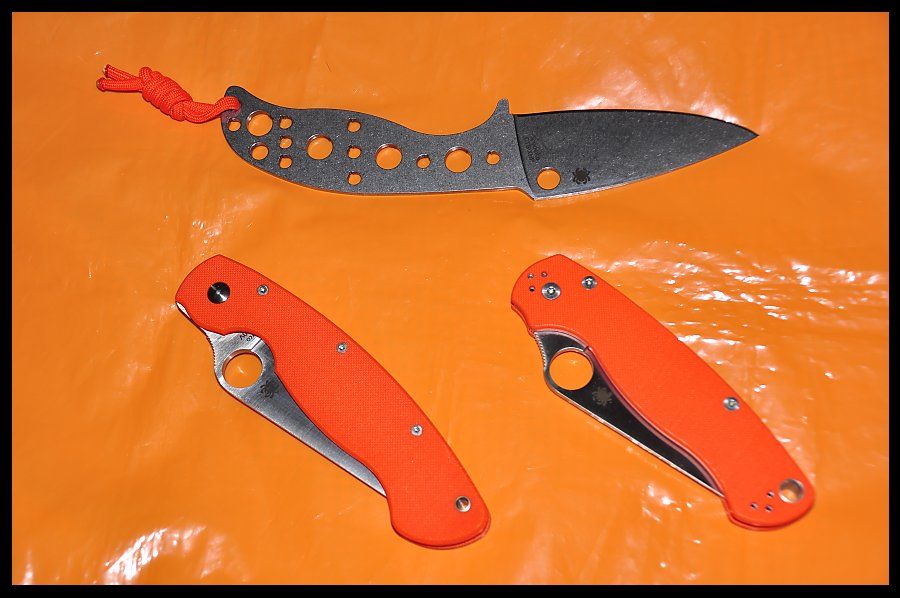 military_pm2_mule_zps4b38a24e.jpg