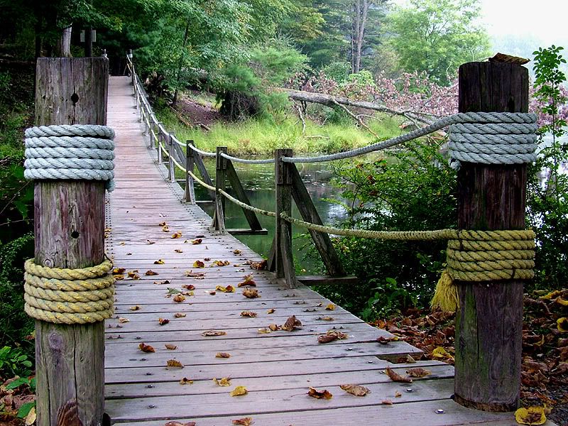 ropebridge2.jpg
