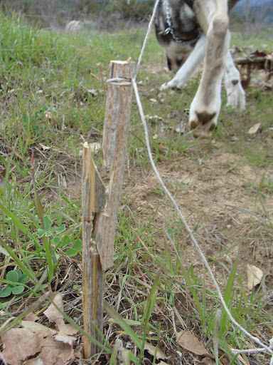 DSC00375.JPG