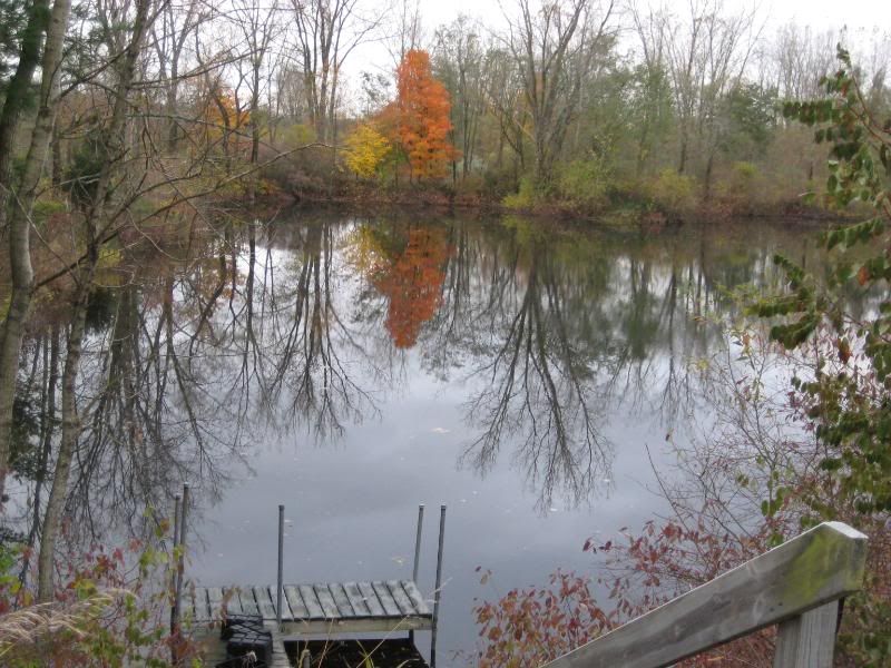 October282008.jpg