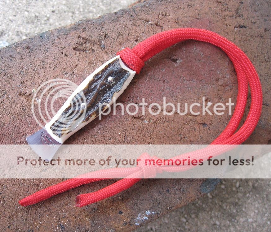 IMG_4055_zpslxvwkpbh.jpg~original