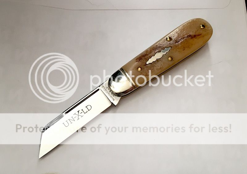 IMG_6373.jpg~original