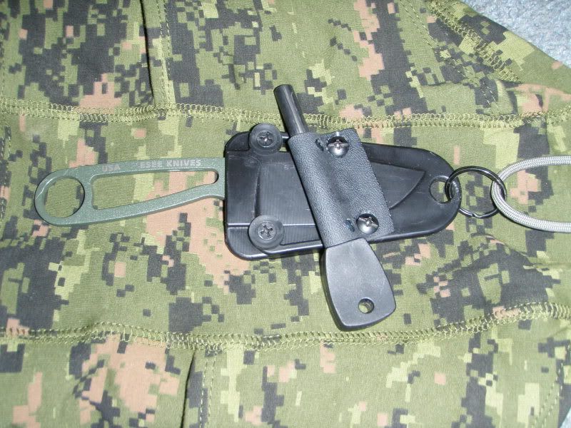 P4151357.jpg