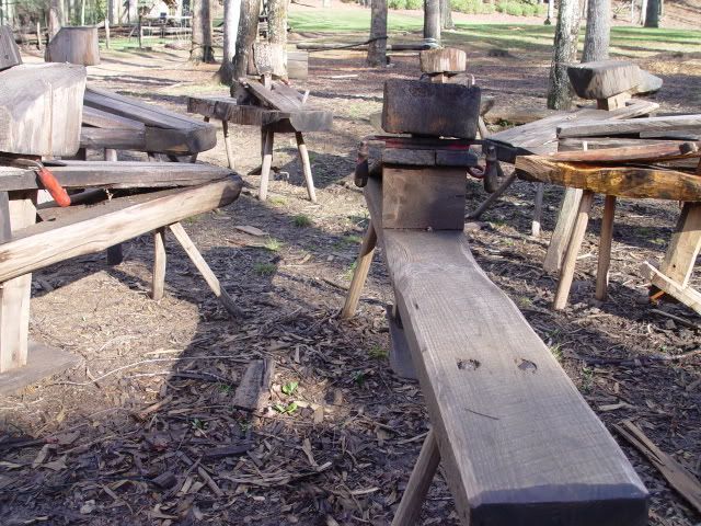 DSC06294.jpg