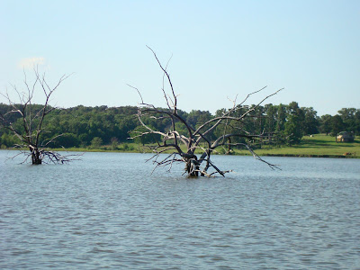 DSC03016.JPG