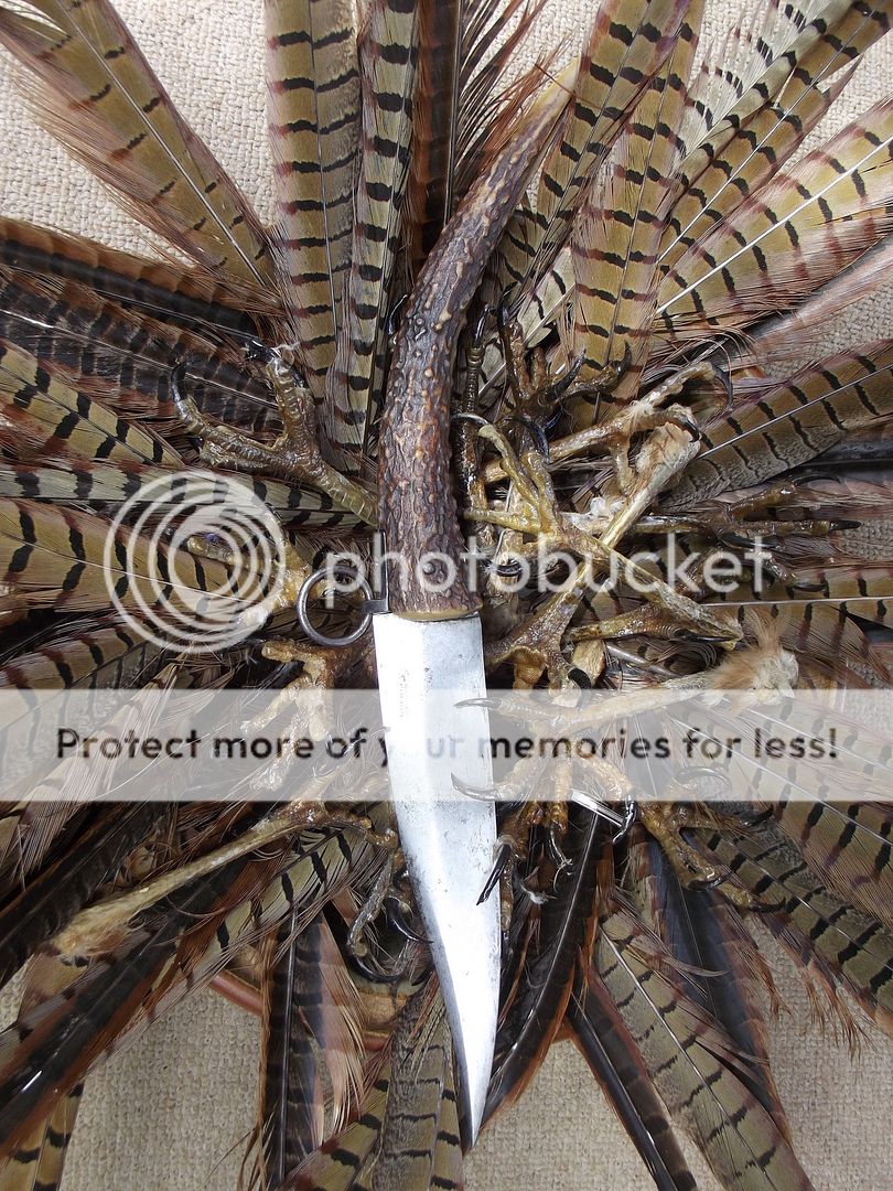 hawkfeetfeathers002.jpg