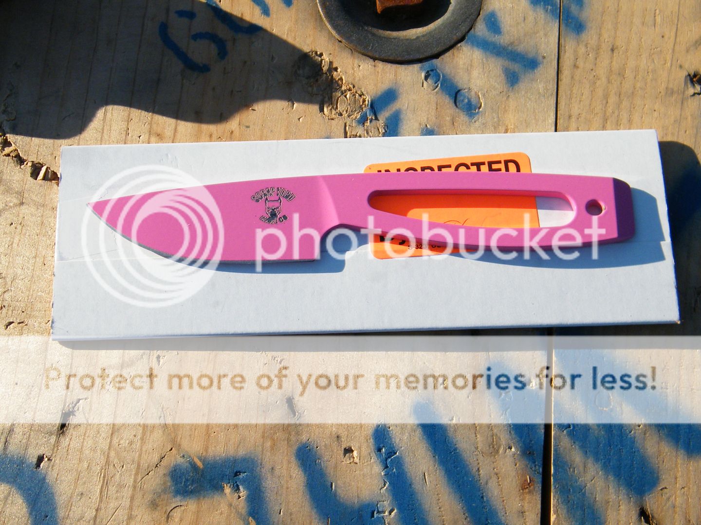 DSCF8078.jpg