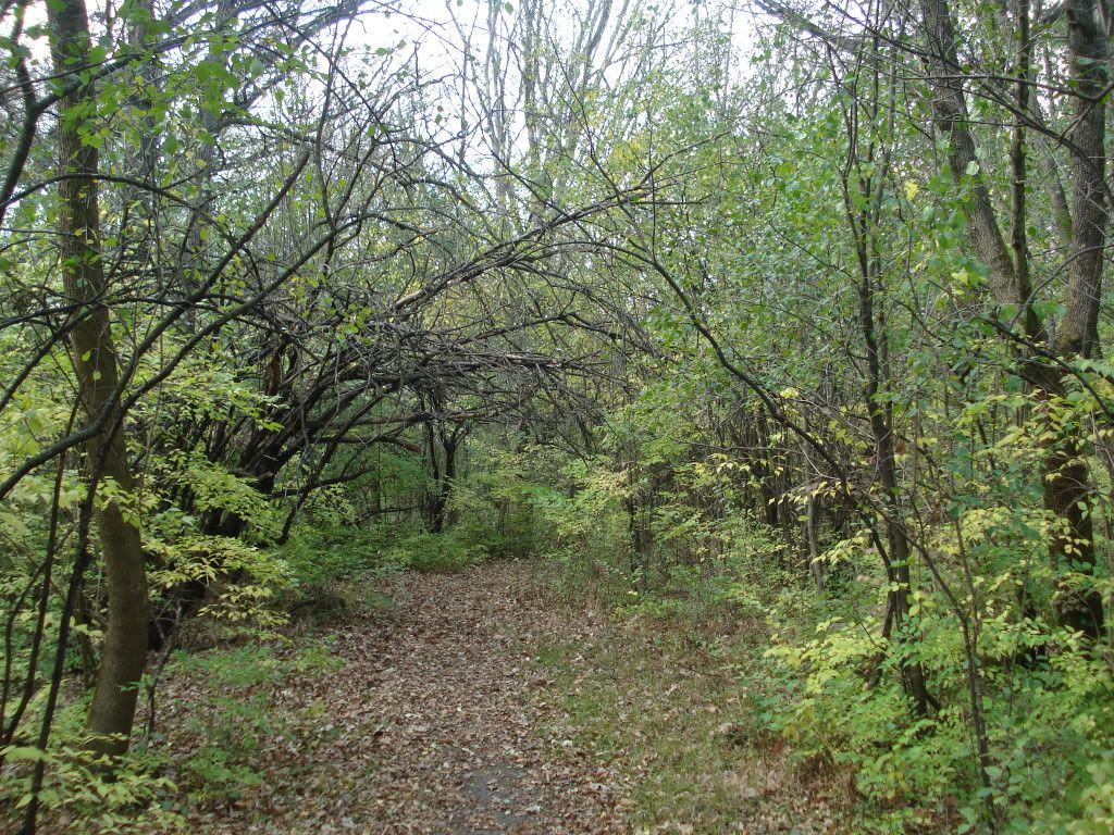 DSC03964.jpg