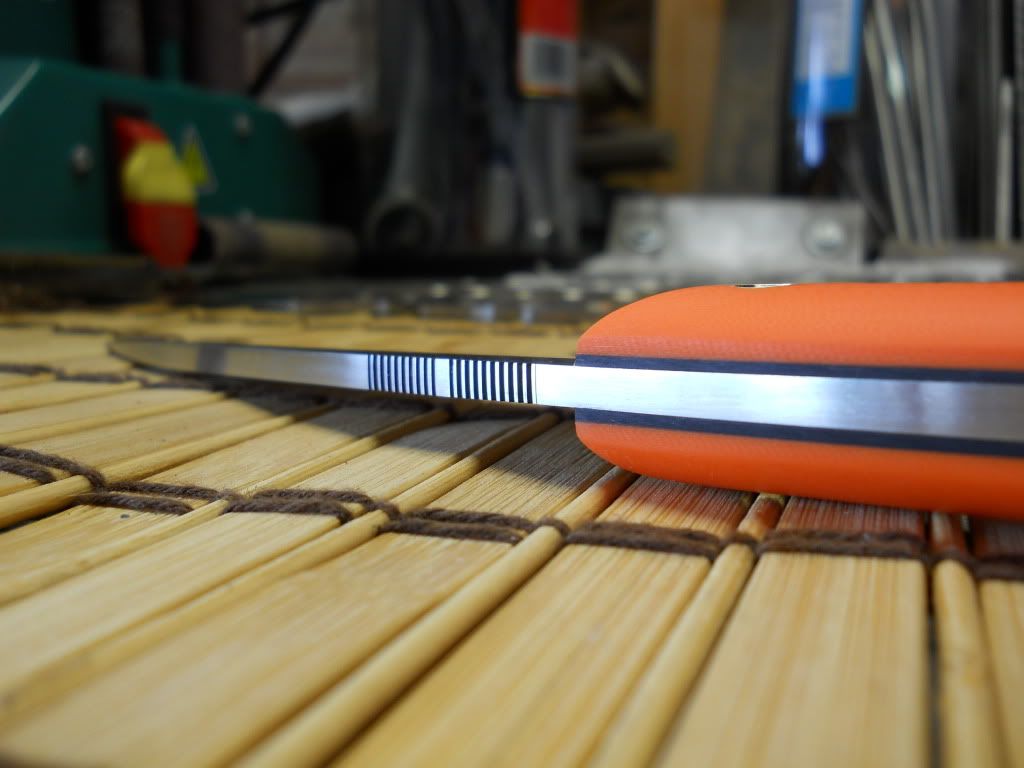 3-27-20111.jpg