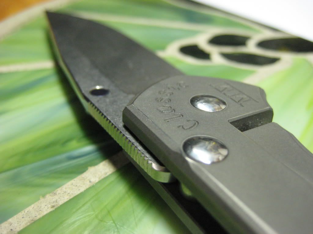 Picture007.jpg