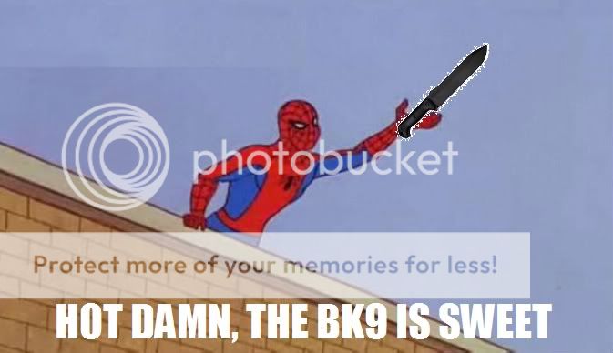 SPIDERMAN.jpg