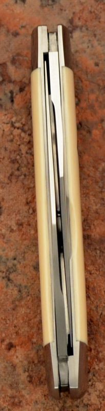 tbose-400ivorymuskrat4-5.jpg