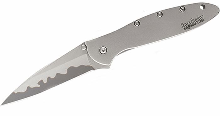 leek1660cb.jpg