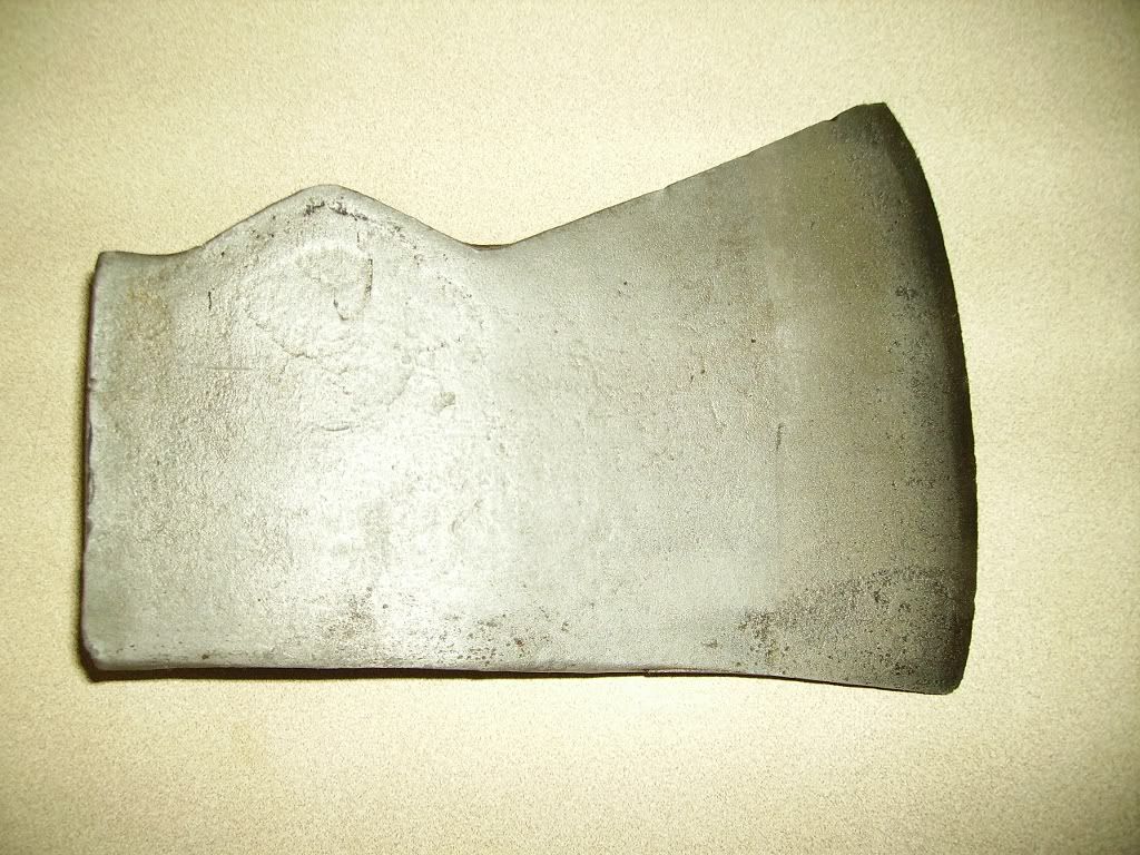 PICT01561024x768.jpg
