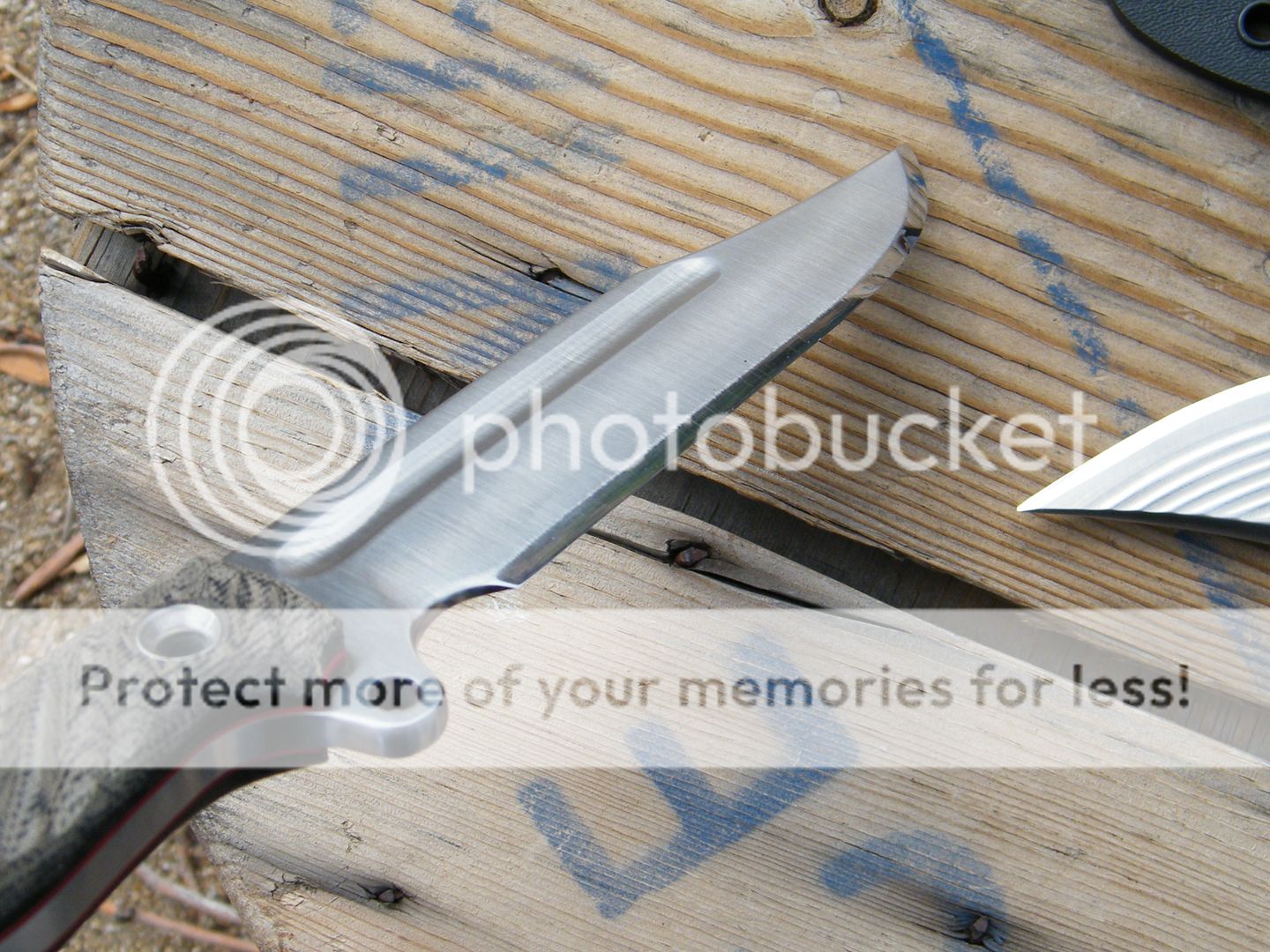 DSCF7815.jpg