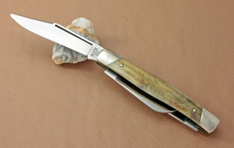 Stag307.jpg