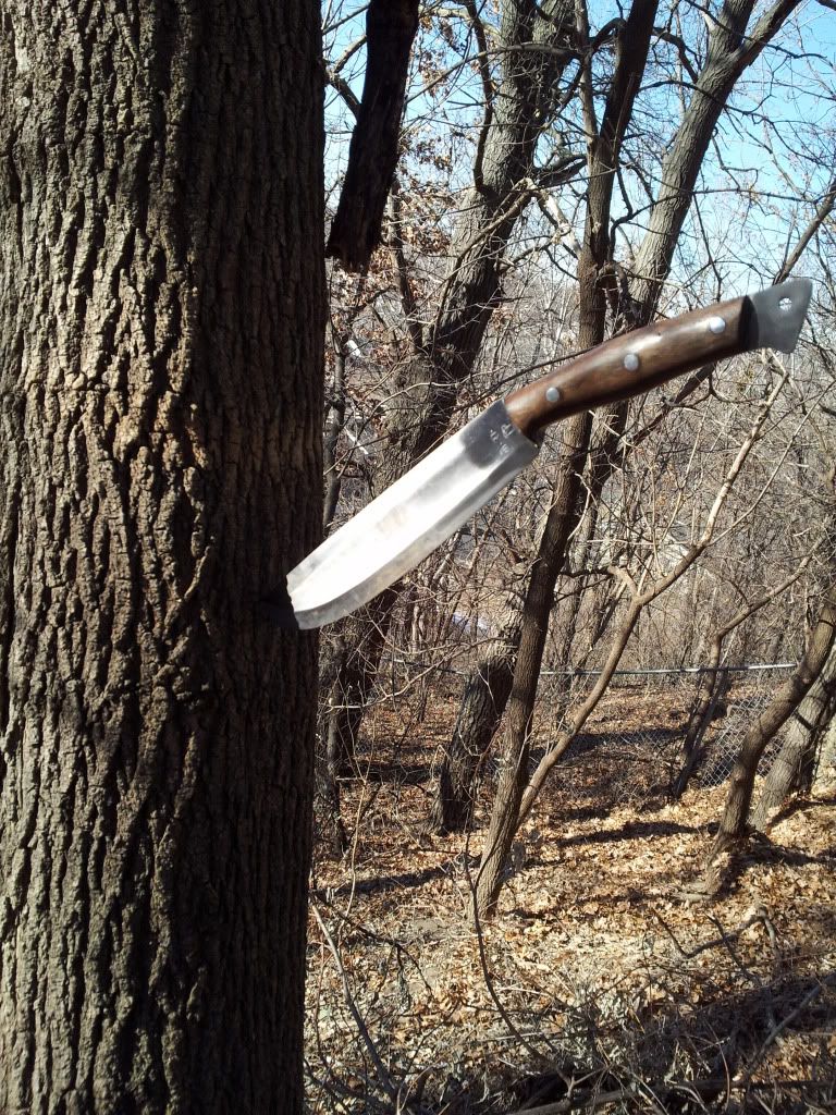 20120212_144414.jpg