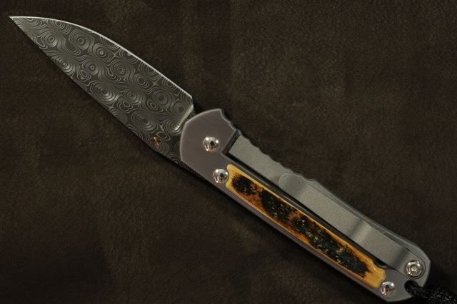 WH7_2508.jpg