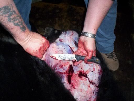 skinning3.jpg