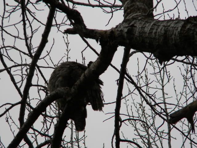 april10084.jpg