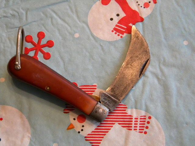 DSCN3281.jpg