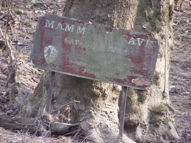100_8940.jpg