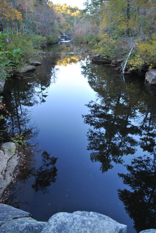 DSC_7916.jpg