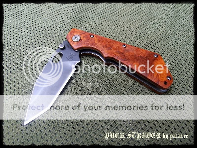 striderDSCF8955.jpg