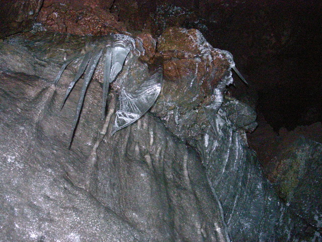 2009.07.04.R0018850.JPG