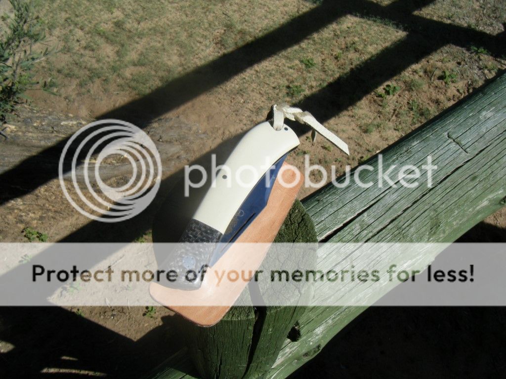 DSCF4044_zpsdc2ba9ac.jpg