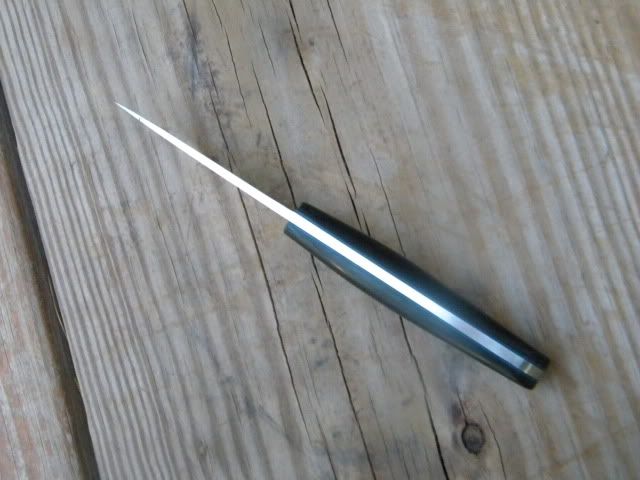 DSCN1819.jpg