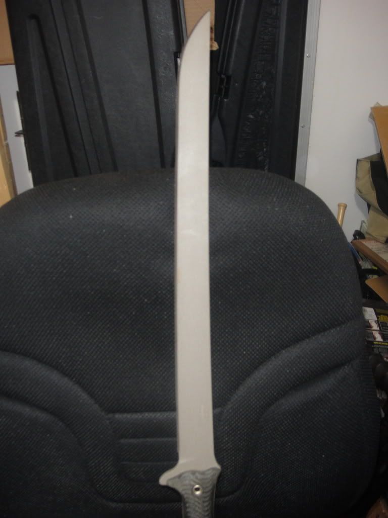 DSC00228.jpg