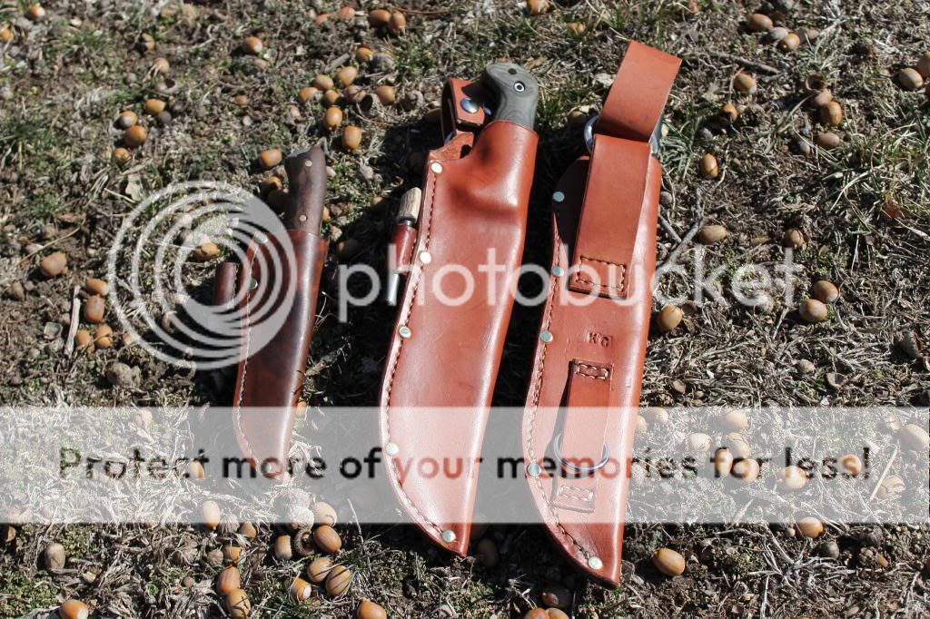 IMG_2368_zps1b43fefa.jpg
