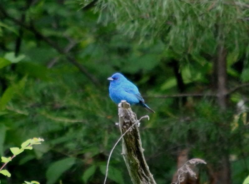 DSC_1699.jpg