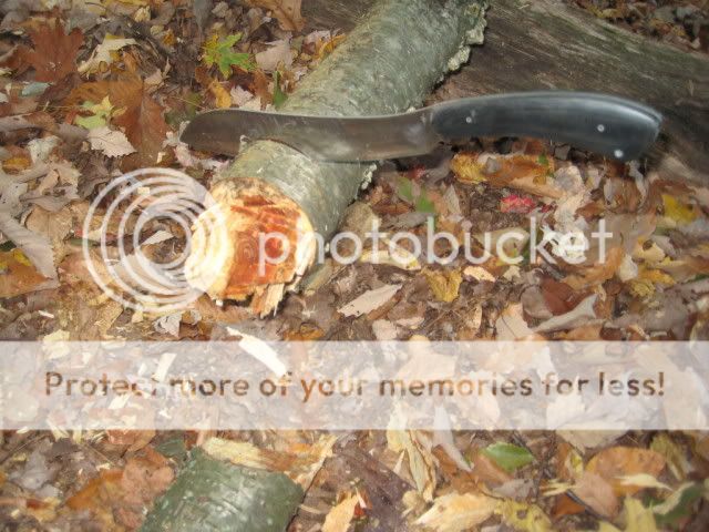fire009.jpg