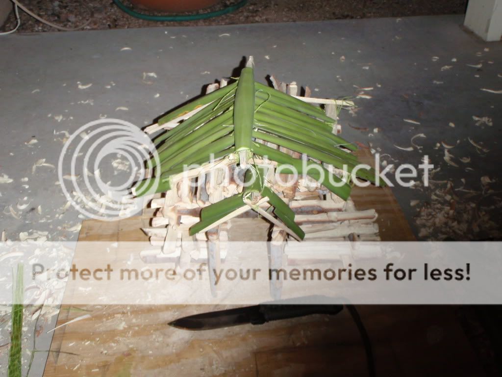 PC300841.jpg