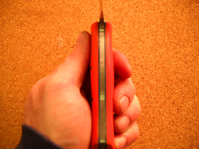 DSCN1851-vi.jpg