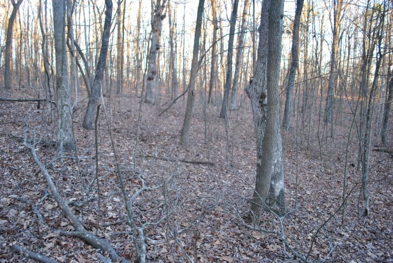 DSC_9495.jpg