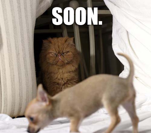 soon%20(1).jpg