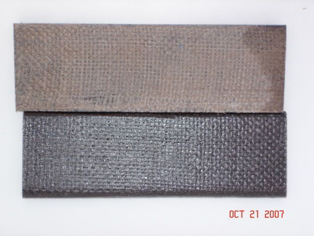 DSC01272.jpg