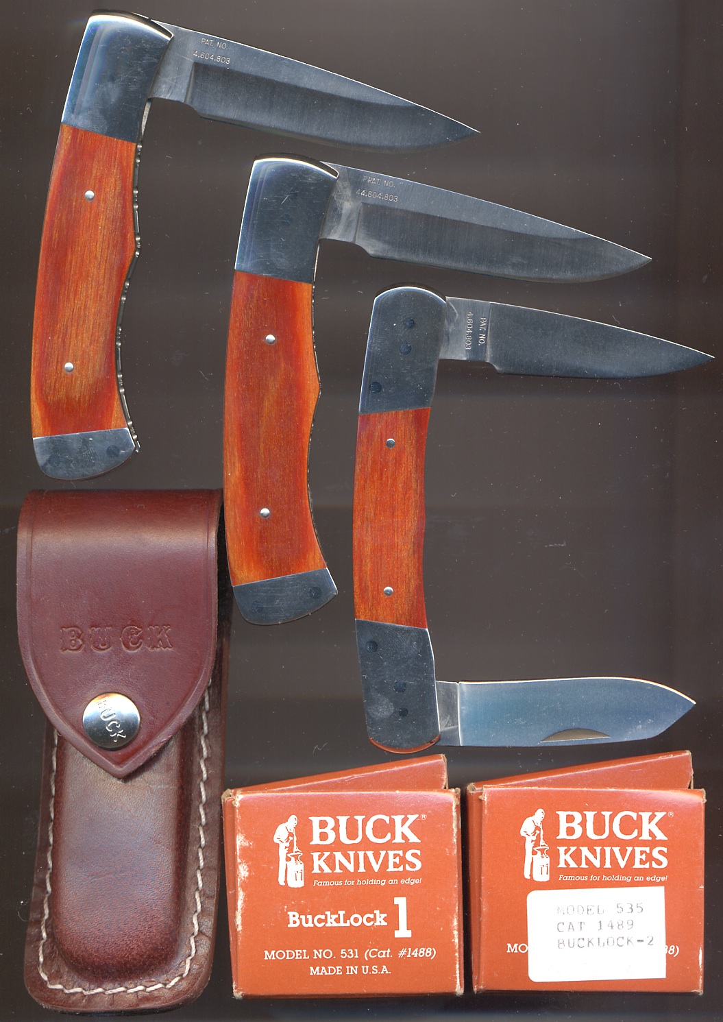 bucklock-x3-gs02.jpg