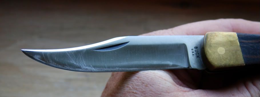 DSC_2374.jpg