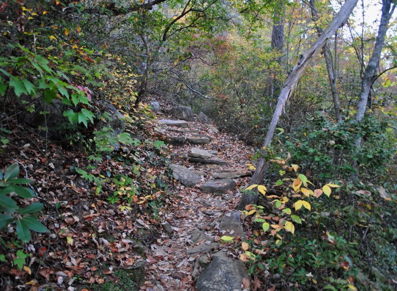 DSC_7981.jpg