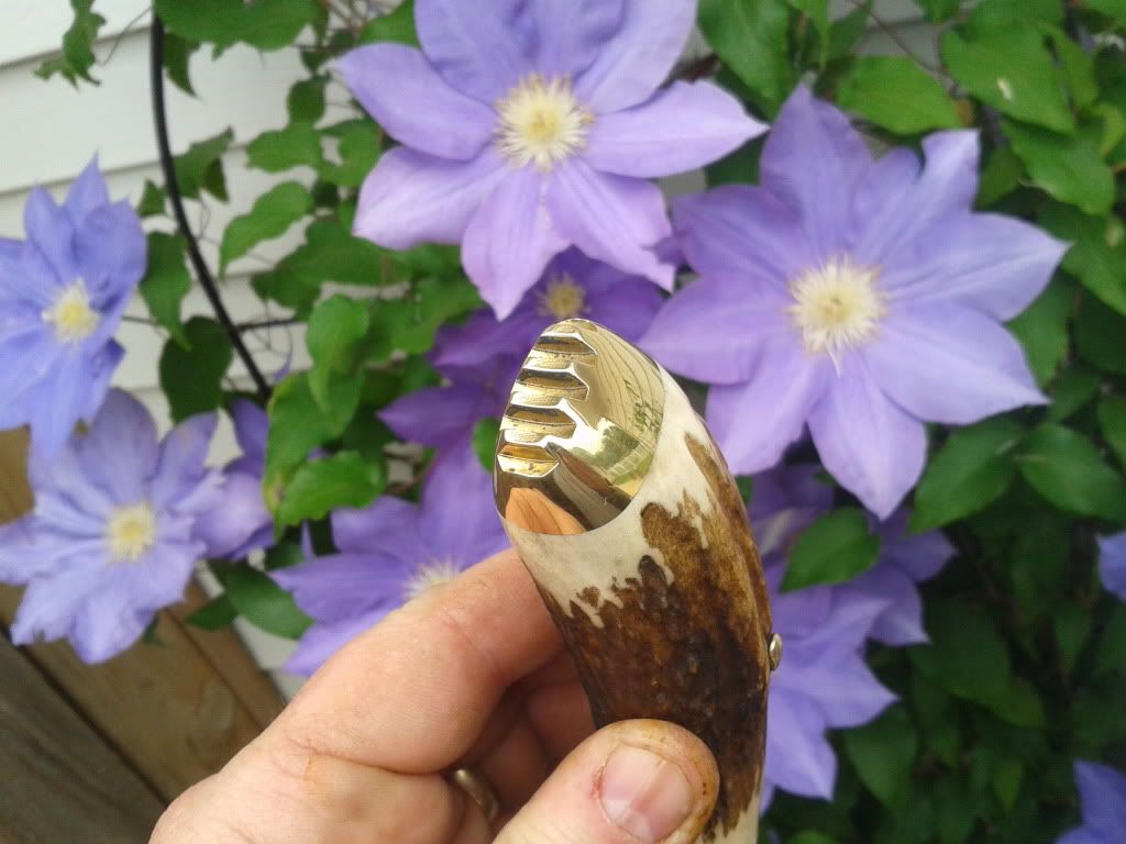 2012-04-21143839.jpg